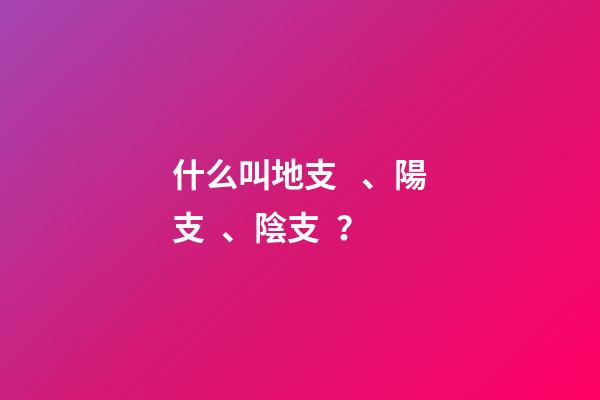 什么叫地支、陽支、陰支？